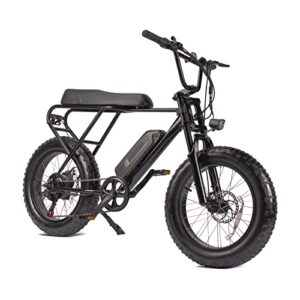 Fat Tire Electric Bike, 500W Brushless Motor, 48V/13Ah Removable Lithium-Ion Battery, Shimano 6-Speed E-Bike, 40 Miles Range, 4'' Wide Tires, Mini Swell Electric Bike for Adults