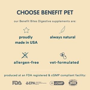 Digestive Soft Chew Supplement for Dogs, Prebiotic, Probiotics, Fiber. Solid Stools & Stop Scooting, Vet-Developed. Allergen-Free, Plant-Based - Made in USA - Benefit Pet Products (Pumpkin, 90ct)