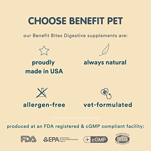 Digestive Soft Chew Supplement for Dogs, Prebiotic, Probiotics, Fiber. Solid Stools & Stop Scooting, Vet-Developed. Allergen-Free, Plant-Based - Made in USA - Benefit Pet Products (Pumpkin, 90ct)