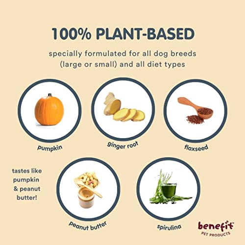 Digestive Soft Chew Supplement for Dogs, Prebiotic, Probiotics, Fiber. Solid Stools & Stop Scooting, Vet-Developed. Allergen-Free, Plant-Based - Made in USA - Benefit Pet Products (Pumpkin, 90ct)