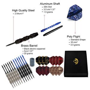 WINSDART ADKX Steel Tip Darts 12 Pack Set with Nonslip Iron Barrel Aluminum Dart Shafts and Flights + Darts Sharpener + an Gift Box(Shape A)