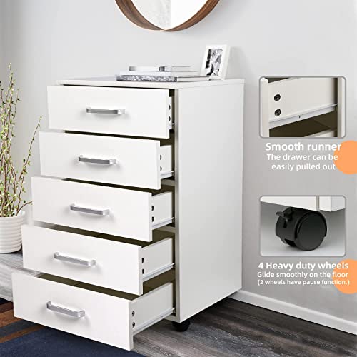 TUSY 5-Drawer Office Storage File Cabinet, Storage Organization for Home, Office, Closet, Bedroom