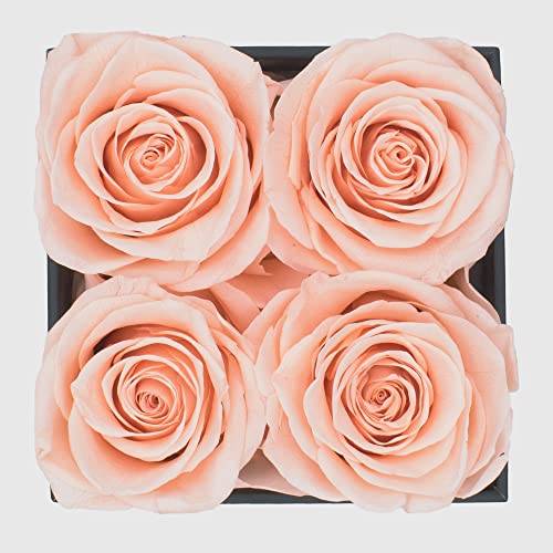 Chloe's Graceful Fleurs | Real Roses that Lasts for Years | Fresh Flowers for Delivery Birthday | Birthday Gifts for Women | Preserved Roses in a Box | Forever Rose Box | Mothers Day Gifts (Light Peach)