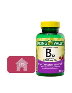 spring valley – vitamin b12 quick-dissolve tablets, 2,500 mcg, cherry flavor, 120 count + sts fridge magnet.