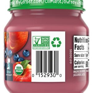 Gerber Purees Organic 2nd Foods Apple Wild Blueberry Baby Food Glass Jar (Pack of 6)