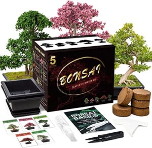 meekear 5 bonsai tree kit with complete plant growing tools, grow in pot indoor bonsai tree starter kit, home gardening diy gift for adult