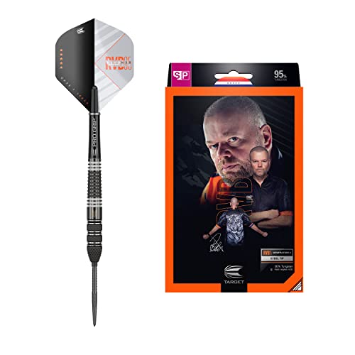 Target Darts RVB x Echo 25G 95% Tungsten Swiss Point Steel Tip Darts Set, Black and Grey (RVBXECHOSTEEL)