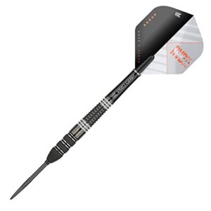 Target Darts RVB x Echo 25G 95% Tungsten Swiss Point Steel Tip Darts Set, Black and Grey (RVBXECHOSTEEL)