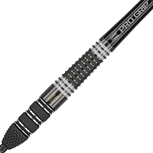 Target Darts RVB x Echo 25G 95% Tungsten Swiss Point Steel Tip Darts Set, Black and Grey (RVBXECHOSTEEL)