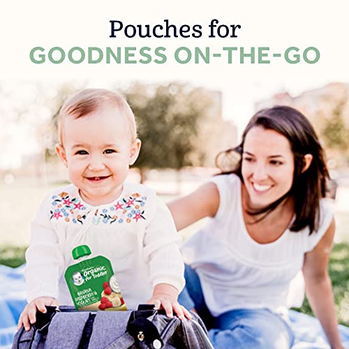 Gerber Organic Baby Food Pouches, Toddler, Banana Raspberry Yogurt Vanilla, 3.5 Ounce (Pack of 12)