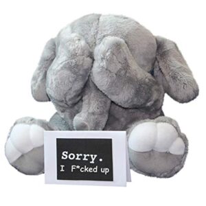 I'm Sorry Apology Card - Forgive Me Notecard - Funny Cute Greeting Card Gift for Him & Her - Large Size [5x7 IN] Sorry Cards, White, 5 x 7 inches