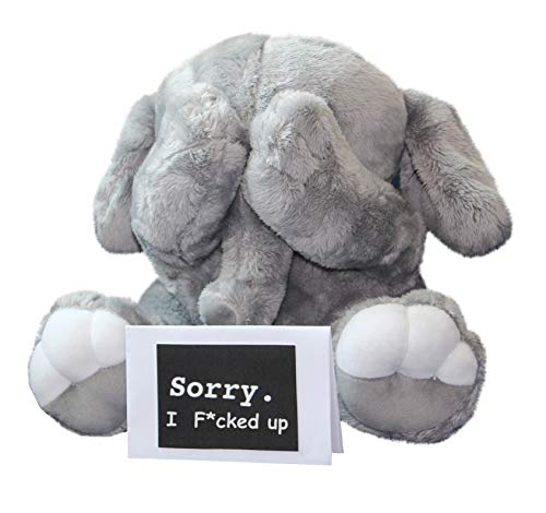 I'm Sorry Apology Card - Forgive Me Notecard - Funny Cute Greeting Card Gift for Him & Her - Large Size [5x7 IN] Sorry Cards, White, 5 x 7 inches