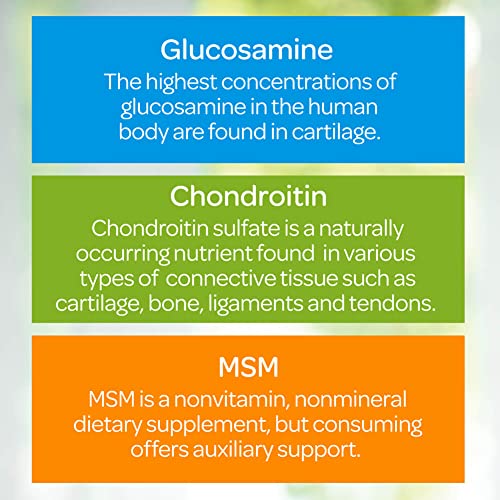 Glucosamine, Chondroitin & MSM with Omega 3, 6, 9, Supports Joints to Promote Joint Comfort and Flexibility, 120 Count by Puritan's Pride