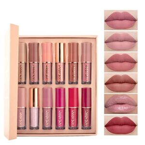 BAISEN DIARY 12 Colors Book Style Velvet Matte Liquid Lipstick Gift Set Long-Lasting Non-Stick Cup Not Fade Shimmer Nude Lip Gloss Thanks For the Love Lip Set (Set A)