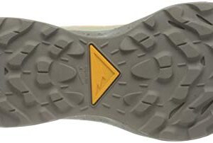 Nike Women's Race Running Shoe, Pure Platinum Laser Orange Fossil Limelight Ghost Enigma Stone, 7.5