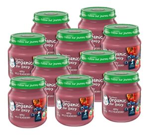 gerber organic for baby 2nd foods (apple wild blueberry)