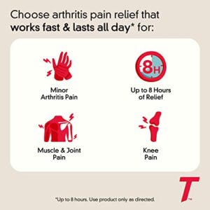 Tylenol 8 Hour Arthritis & Joint Pain Acetaminophen Caplets, 225 Count