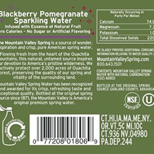 333 ML Glass Sparkling Blackberry Pomegranate