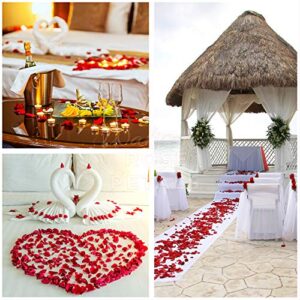 (Ready-to-use, Scented) 1,000 PCS Silk Rose Petals for Wedding Flower Petals for Romantic Decorations Special Night for Him Set or Her, for Proposal Anniversary Valentine's (Dark Red)