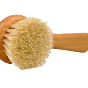 Valentino Garemi Mushroom Cleaning Brush – Kitchen Sink Utensil Restaurant House Use – Made in Germany