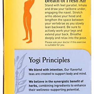 Yogi Tea, Breathe Deep, 16 Count