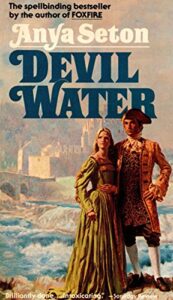 devil water: a novel