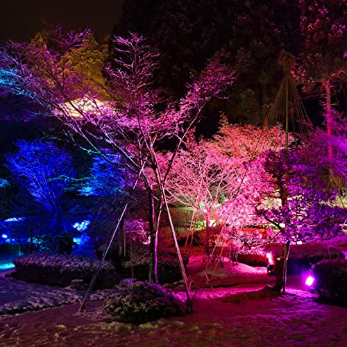 LED Flood Light Outdoor 800W Equivalent, Bluetooth Smart Color Change Landscape Lighting, DIY-Scene+RGB Colors+Warm White 2700K - APP & Group Control & Timing, IP66 Waterproof US 3-Plug Up Light 4Pack