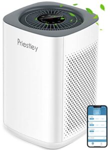 air purifiers for home large room up to 1000 ft², smart wifi control, removes 99.97% of particles with h13 true hepa filter for 3-stage filtration, air cleaner for allergies, pets, smoke
