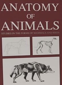 anatomy of animals: studies in the forms of mammals and birds