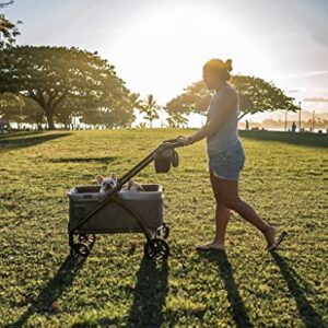 Baby Trend Expedition 2-in-1 Stroller Wagon PLUS, Ultra Grey