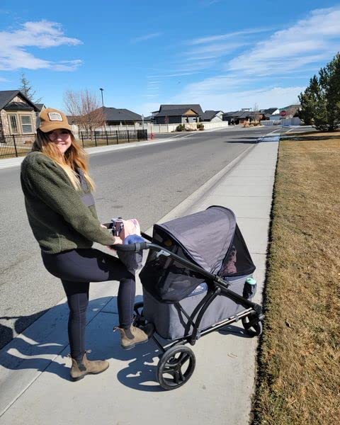 Baby Trend Expedition 2-in-1 Stroller Wagon PLUS, Ultra Grey