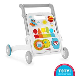 Skip Hop Baby Walker, Explore & More 4-in-1 Toy Walker