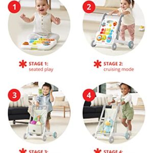 Skip Hop Baby Walker, Explore & More 4-in-1 Toy Walker