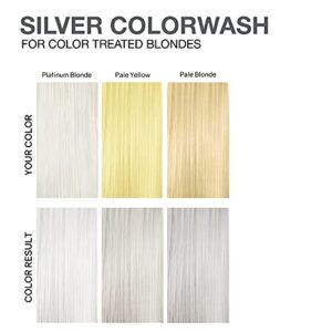 Celeb Luxury Viral Colorwash, Professional Semi-Permanent Hair Color Depositing Shampoo, Extreme Silver