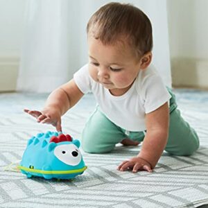 Skip Hop Developmental Learning Crawl Toy, Explore & More, Hedgehog