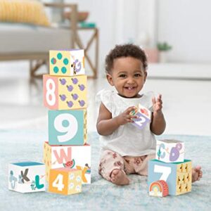 Skip Hop Infant Toy Nesting Blocks, ABC & Me