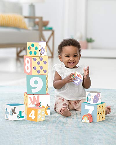 Skip Hop Infant Toy Nesting Blocks, ABC & Me