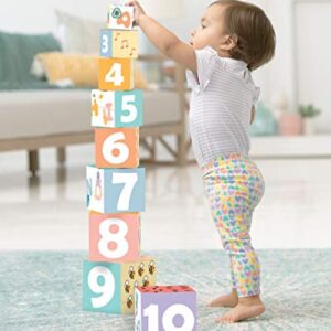 Skip Hop Infant Toy Nesting Blocks, ABC & Me