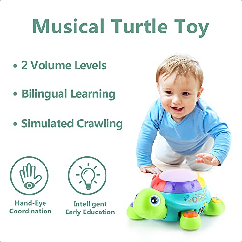 iPlay, iLearn Baby Musical Turtle Toy, Spanish English Bilingual Learning, Toddler Crawling Toys W/ Light & Sound, Infant Development Educational Birthday Gifts 6 7 8 9 10 12 Month 1 Year Old Boy Girl