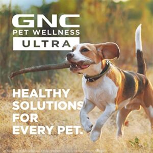 GNC Ultra Medicated Itch Relief Shampoo,16oz | Soothing Shampoo for Dogs with Oats & Pramoxine Hydrochloride | Moisturizing Shampoo for Dogs Medicated Itch Relief,FF13849