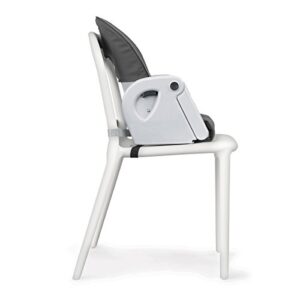 Chicco Polly Progress Relax 5-in-1 Highchair - Springhill | Black