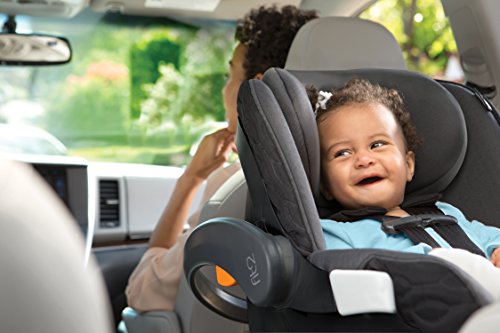 Chicco Fit2 Infant & Toddler Car Seat, Fleur