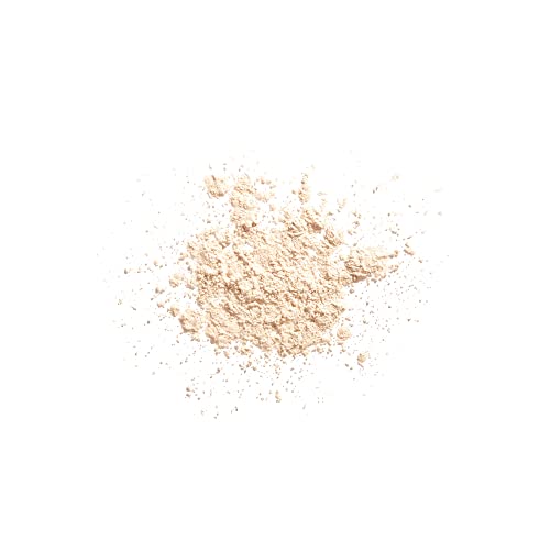 Shiseido Synchro Skin Invisible Silk Loose Powder (matte)