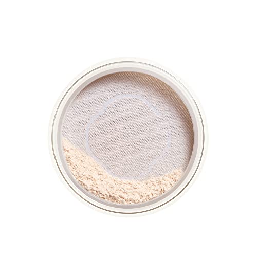 Shiseido Synchro Skin Invisible Silk Loose Powder (matte)