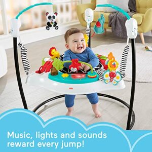 Fisher-Price Baby Bouncer Animal Wonders Jumperoo Activity Center With Music Lights Sounds And Developmental Toys