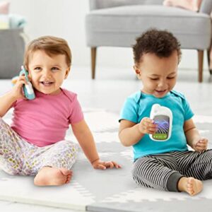 Skip Hop Baby Phone Toy, Explore & More Selfie