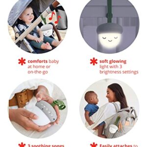 Skip Hop Portable Baby Sleep Sound Machine, Glow with Me Acorn