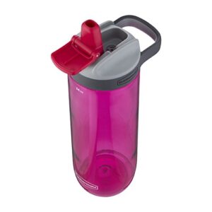 Rubbermaid Leak-Proof Sip Water Bottle, 24 oz, Tart Pink