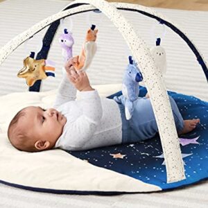 Skip Hop Baby Play Gym, Celestial Dreams, Grey