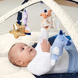 Skip Hop Baby Play Gym, Celestial Dreams, Grey